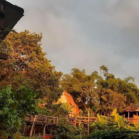 Tree Lodge Banlung Zewnętrze zdjęcie