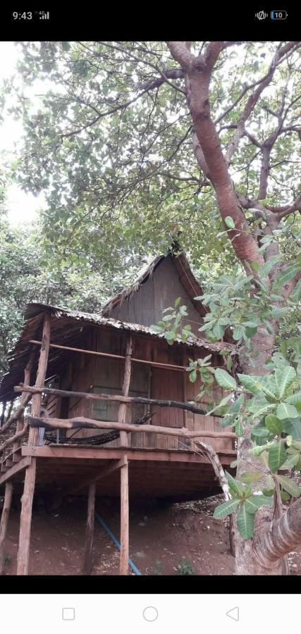 Tree Lodge Banlung Zewnętrze zdjęcie
