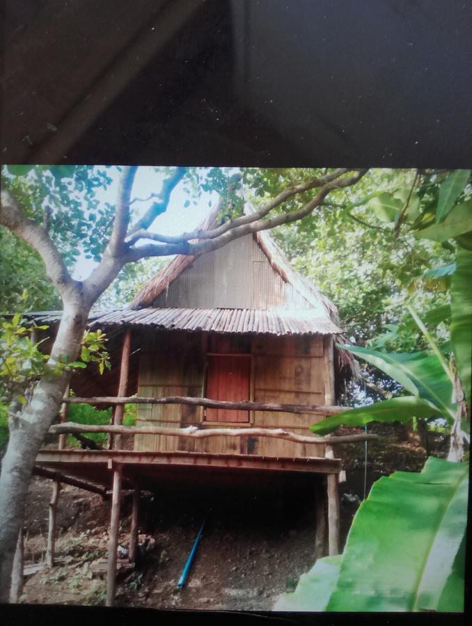Tree Lodge Banlung Zewnętrze zdjęcie