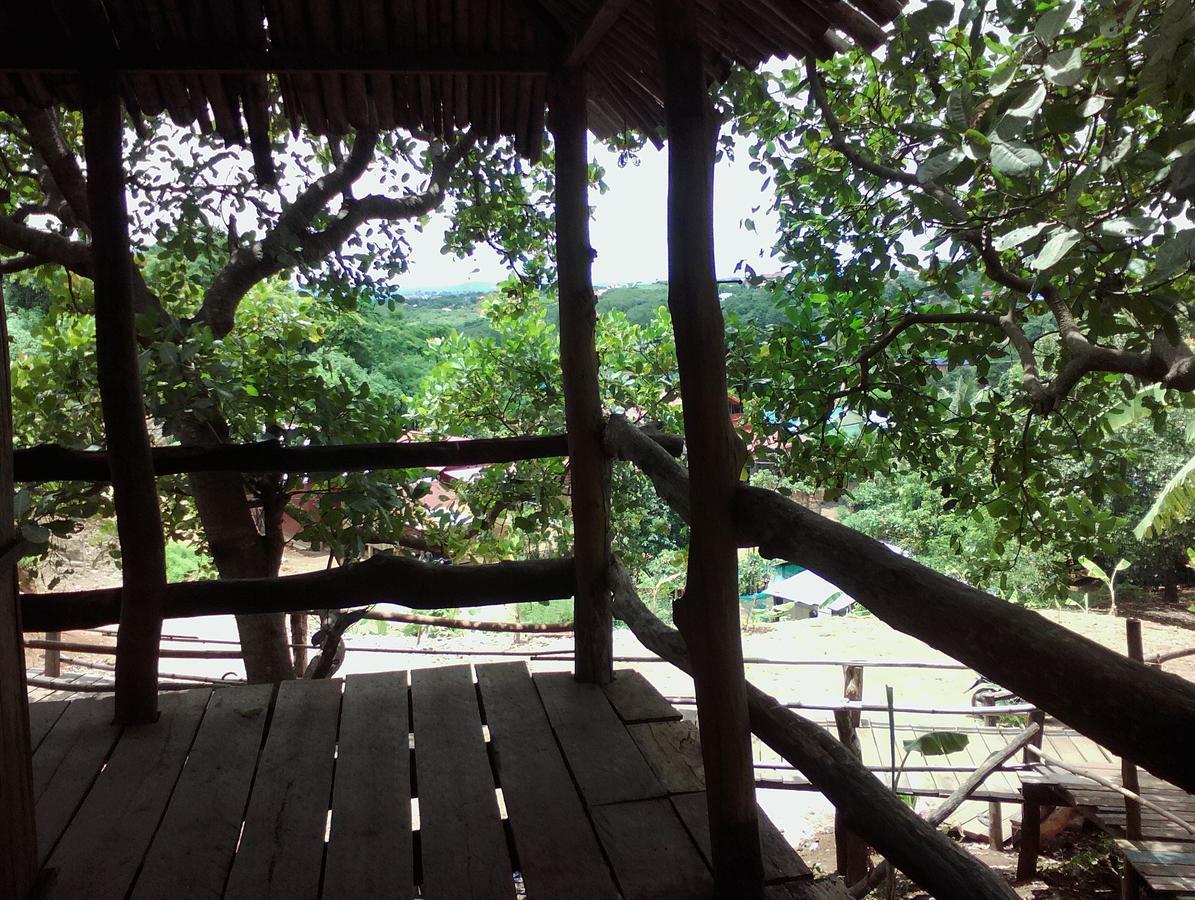 Tree Lodge Banlung Zewnętrze zdjęcie
