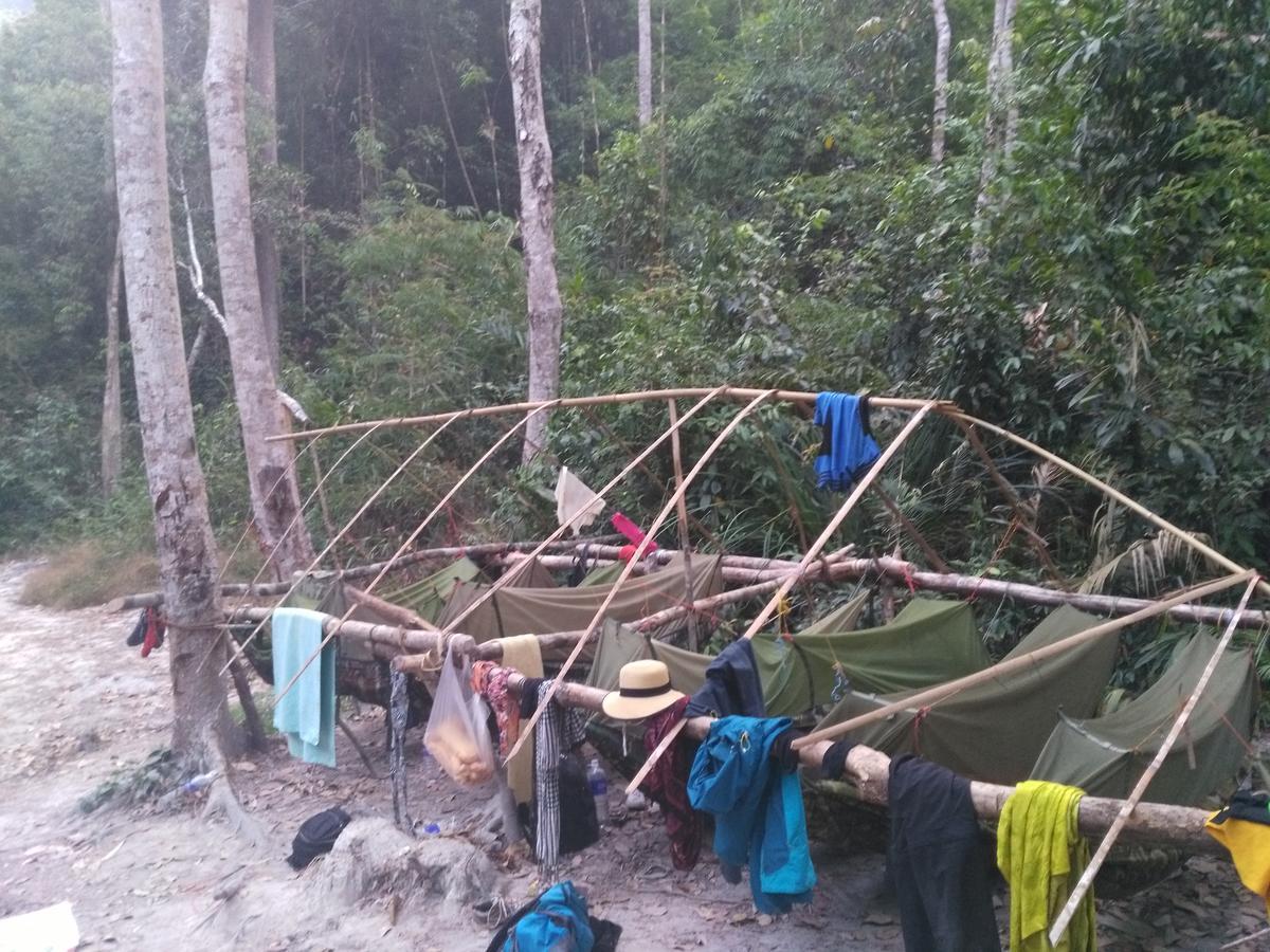 Tree Lodge Banlung Zewnętrze zdjęcie