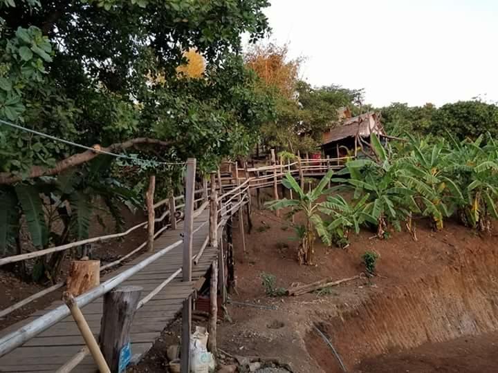 Tree Lodge Banlung Zewnętrze zdjęcie