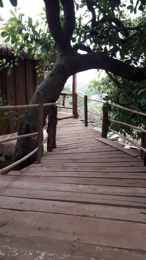 Tree Lodge Banlung Zewnętrze zdjęcie