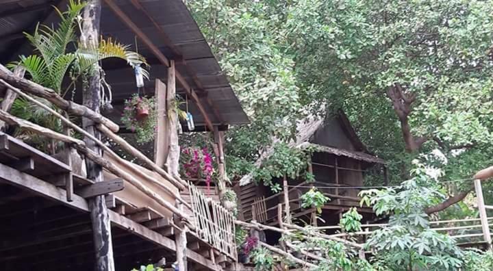 Tree Lodge Banlung Zewnętrze zdjęcie