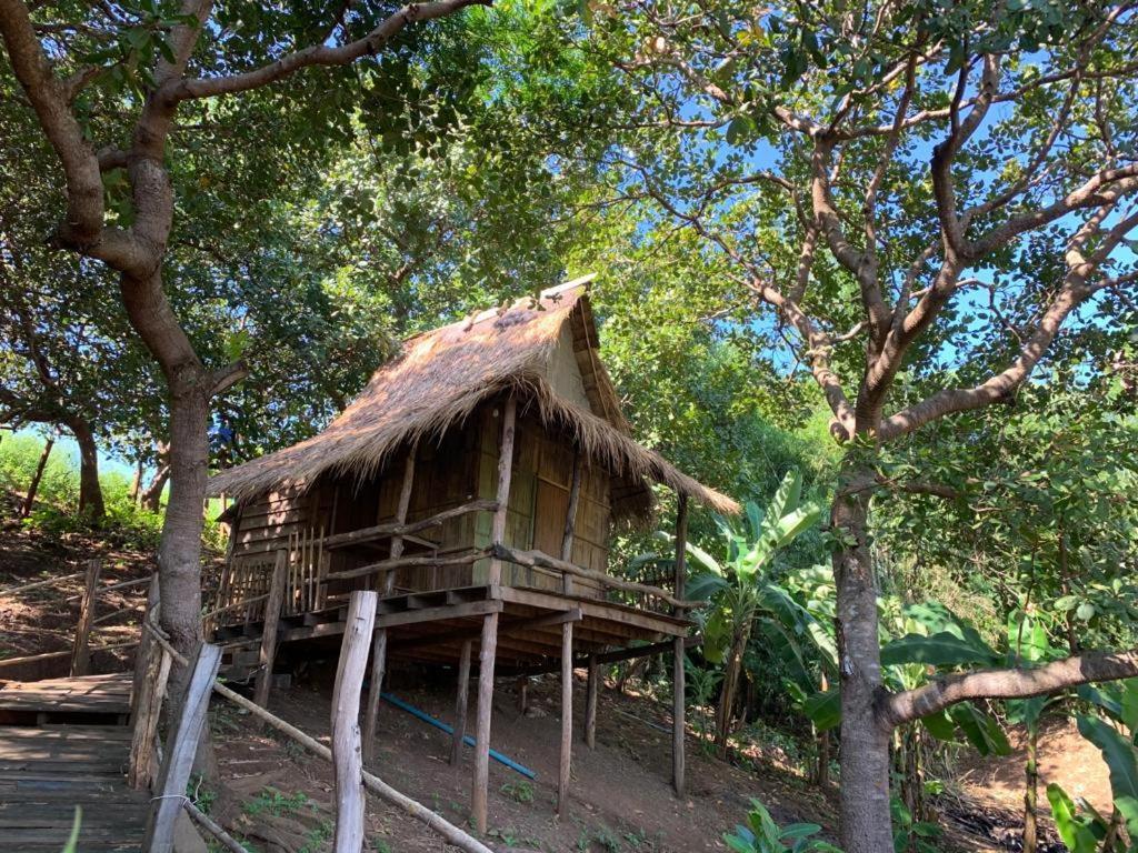 Tree Lodge Banlung Zewnętrze zdjęcie